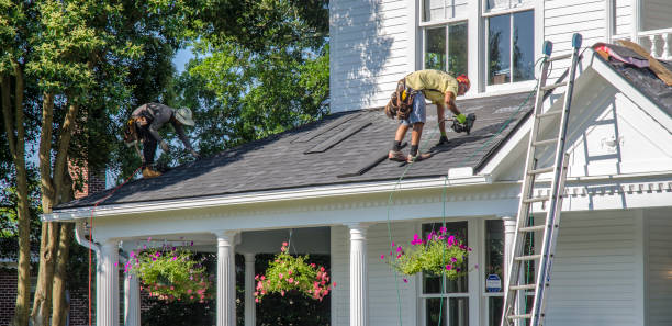 Best Storm Damage Roof Repair  in Punta Gorda, FL